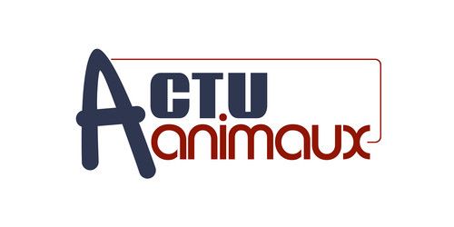 Actu-Animaux§Clics et Dons /et SPA.Aide-DéfenseCauseAnimale