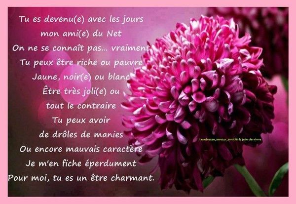 Une fleur,Belle citation Amour § Love . 