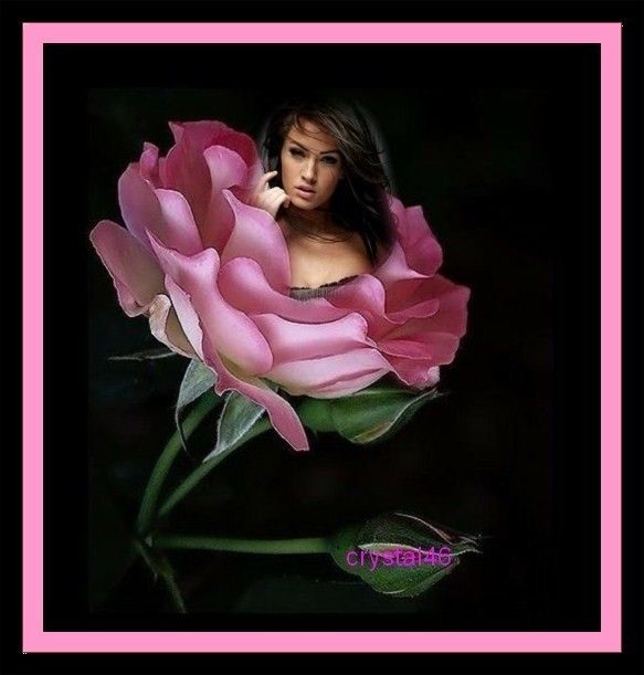 Une rose / Belle femme § Doux '''' 
