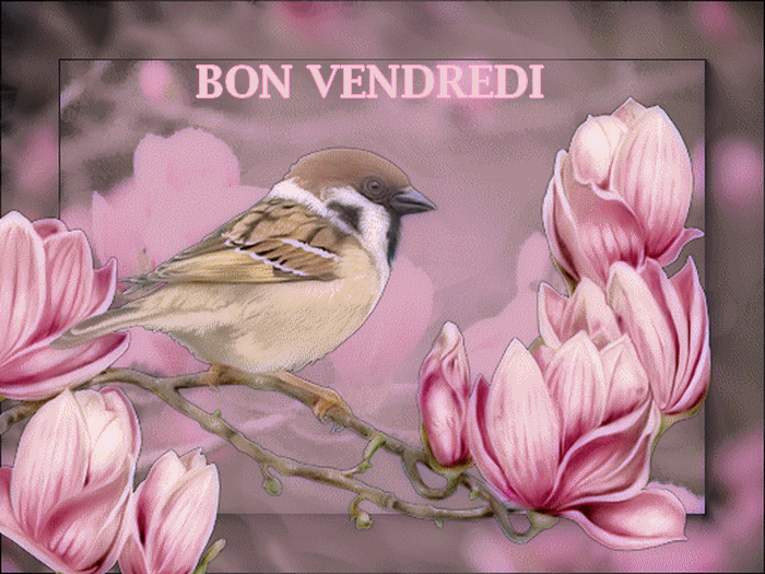 Bonjour, Un bel oiseau,Fleurs § Bon Vendredi.