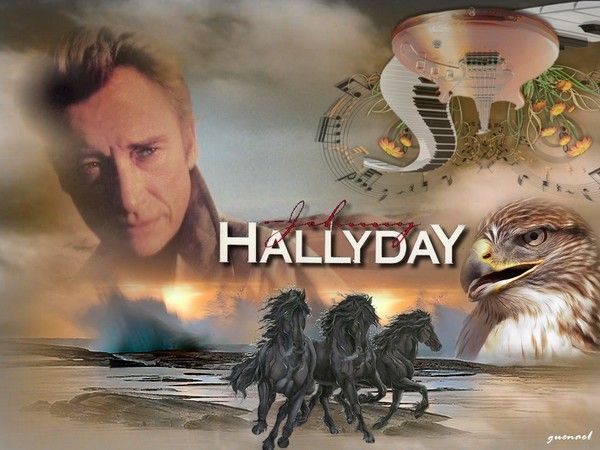 Johnny Hallyday § Et chansons - Bonne après-midi.