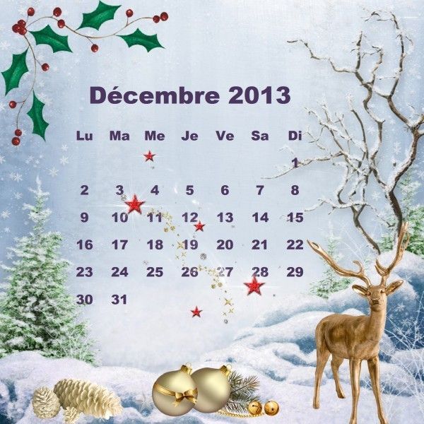 *Un joli calendrier - Neige - Mois de Décembre & Biz*
