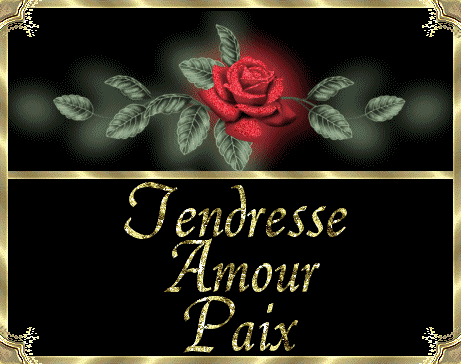 Tendresse,Amour,Paix/Rose rouge § ImageDouceur . 