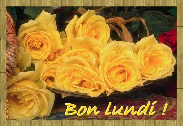 Ces belles roses jaunes Pour Vous § BONNE SOIREE / LUNDI §