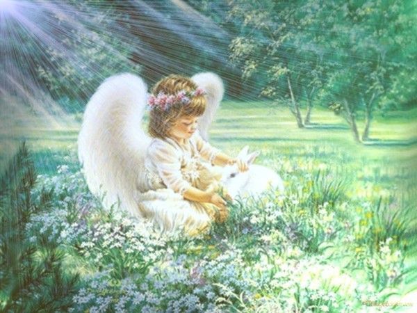 Un bel ange § Enfant / Nature -