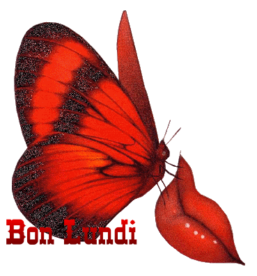 TRES BON LUNDI  Papillons, bisous &