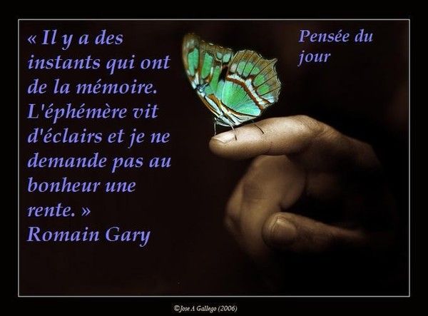 Belle citation // Romain Gary §