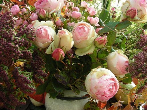 bouquet-novembre-marandon-3-1195927126.jpg