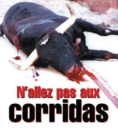 bullfight-leaflet_FR2-750px.jpg