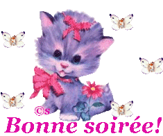 Un ptit chat , mignon, en rose,fleurs§Bonne soirée . 