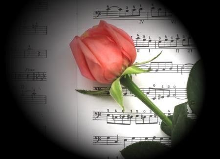 rose/piano§Musique Classique/ Concerts § 