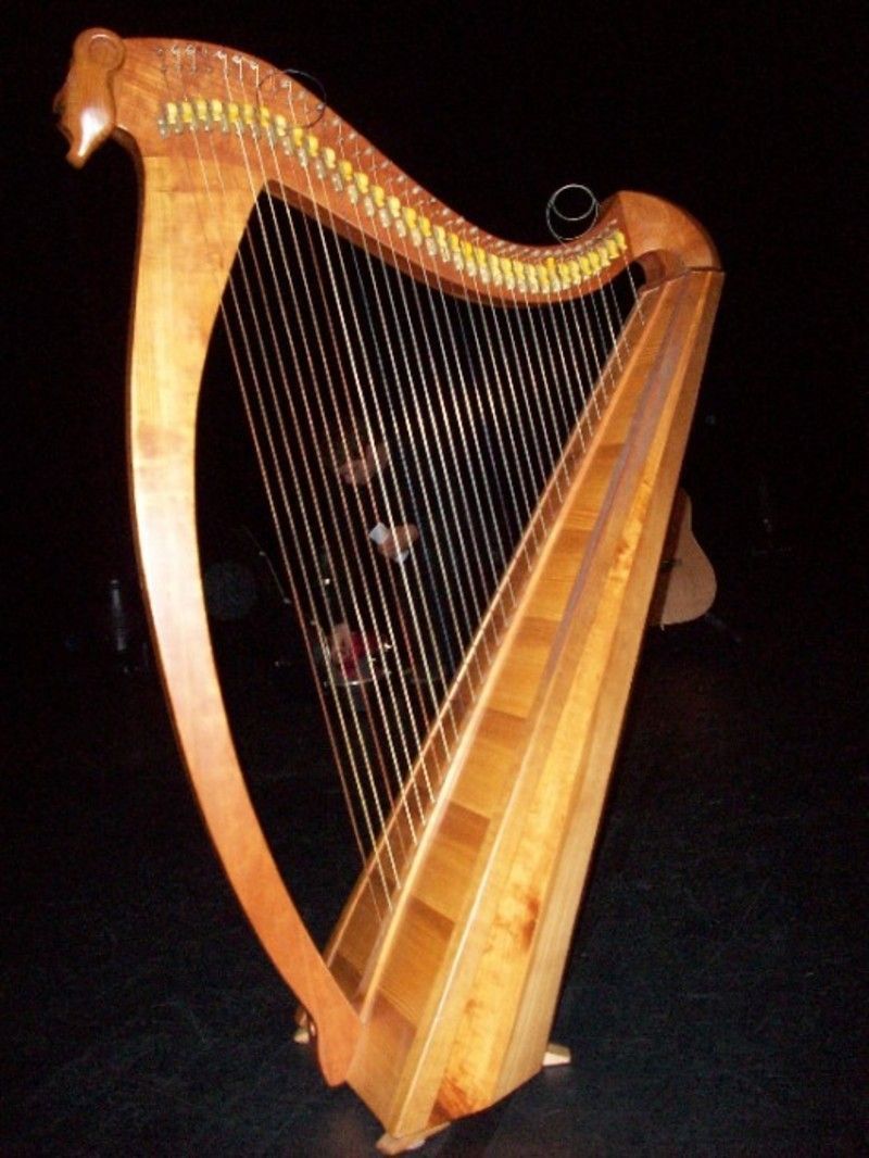 festival-de-la-harpe-celtique-la-harpe-de-cecile-corbel-700-8524.jpg