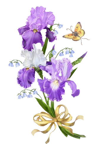 fleur-lys-violet-101009.gif