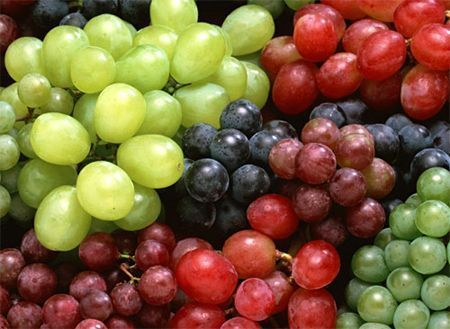 jus-raisin-bio-antioxydant-puissant-naturel-pepin-huile-sec-cure-feuille-pain-vin-peau-cholesterol-vigne-18.jpg
