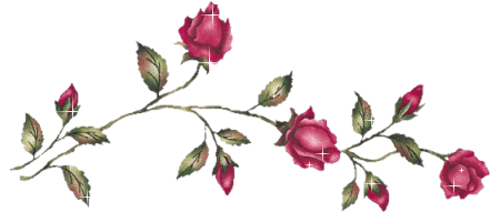 nouvelles-images-humour-barre-separation-roses-img.gif