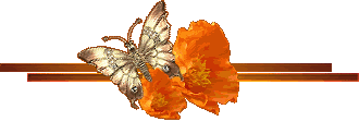 orangeflowerbutterflydivider.gif